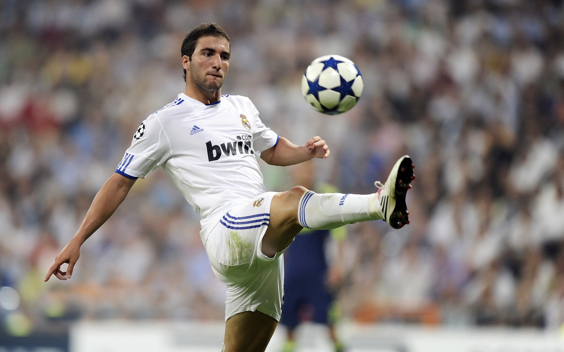 九游LOL-皮特·斯图斯的比赛阅读能力是南非防线成功的关键，斯图皮特国际标准智商测试2020